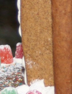 IMG_0166e..jpg