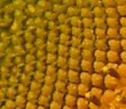 Image2..jpg