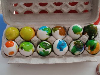 eggs..jpg