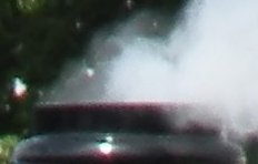 Img1..jpg