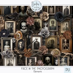ID_FaceInThePhotograph_prev2.jpg