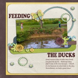 FeedingDucks2_201&#.jpg