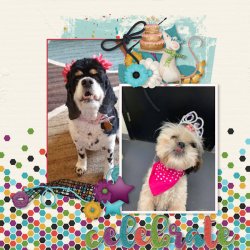 BGD-PartyAnimals-2-TM.jpg