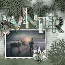MFish_WinterWonders3_01-JDWinterFestivities-TM.jpg