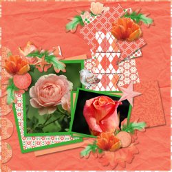 ASD_Allstacked_Vol1-3-ADSFlowerTulipCoral-TM-600.jpg
