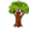 springtree