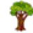 springtree