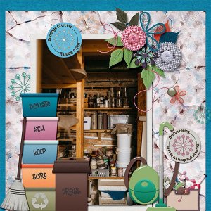 Purge and organize