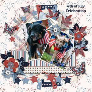 4th of July Celebration