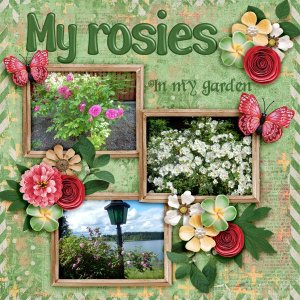 My-rosies.jpg