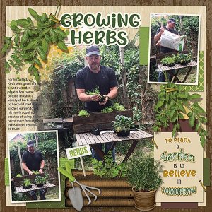 Growing-Herbs-webcopy.jpg