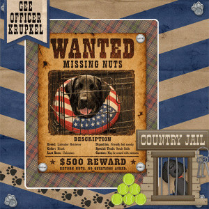 Wanted