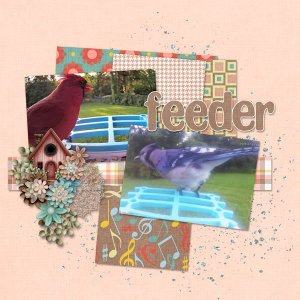 Feeder