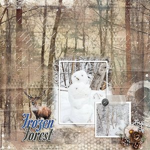 Frozen-Forest.jpg