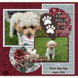 Ruff Love & Paw Prints