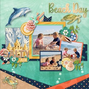 Beach-Day_ollitko_600.jpg