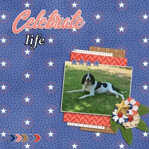 celebrate life