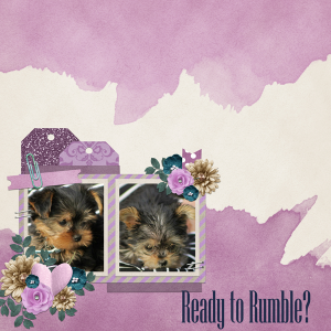 Ready to Rumble?