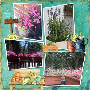 Our Gardens