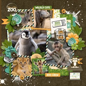 Zoo Babies