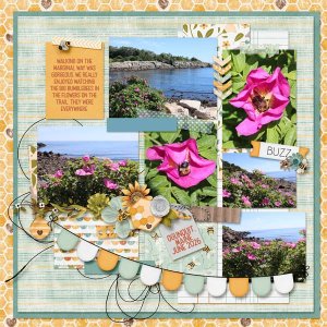 Marginal Way