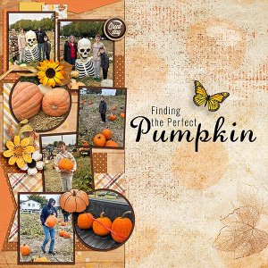 Picking-a-Pumpkin.jpg