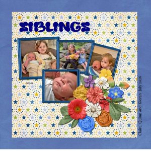Gingerbread Challenges - Template Challenge 1 Scrapbookcrazy Creations.jpg