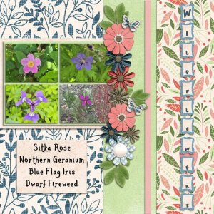 wildflowers