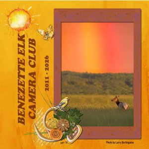 July Daily Download Challenge