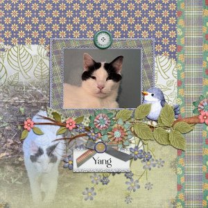 Designer Spotlight 7.jpg