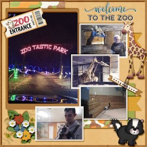 08 -- Mix up -- Zoo.jpg