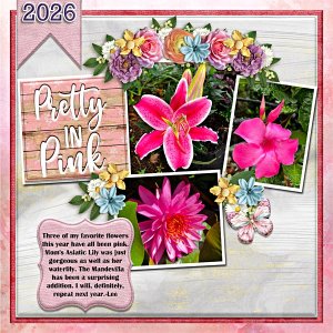 Pink blooms 2026