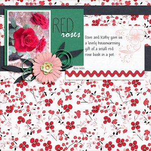 Red Roses