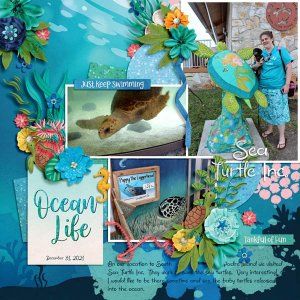Sea Turtle, Inc.