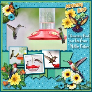 Hummingbirds