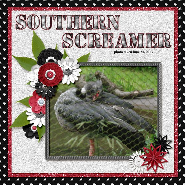 13-9-Southern Screamer small.jpg