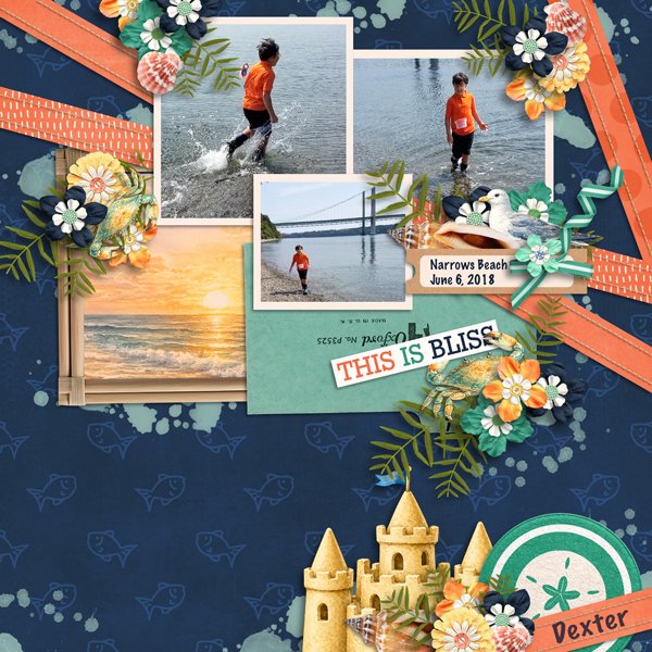 Beach-Bliss-Ribbons-and-papers-27-4- by Designs by Connie Prince