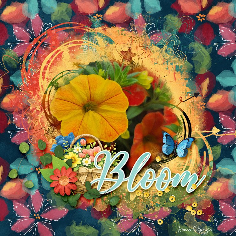 Bloom