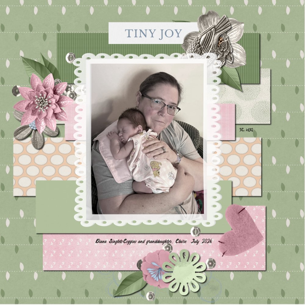 Jully Template Challenge 2 J Conlon