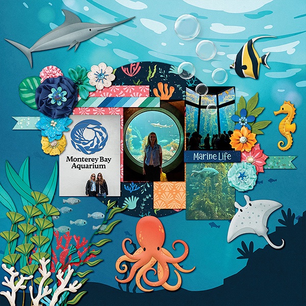 Monterey Bay Aquarium