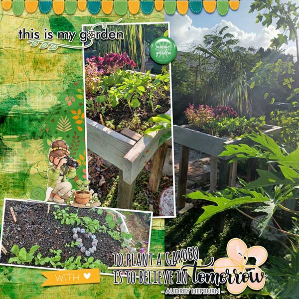 My-Summer-Garden-webv.jpg