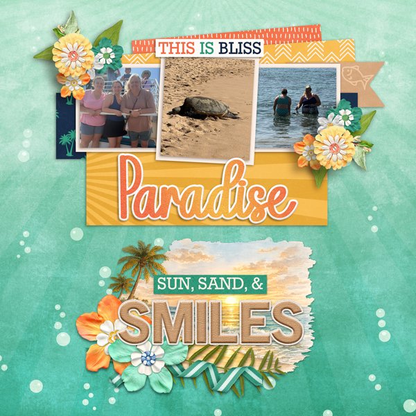Paradise-web.jpg