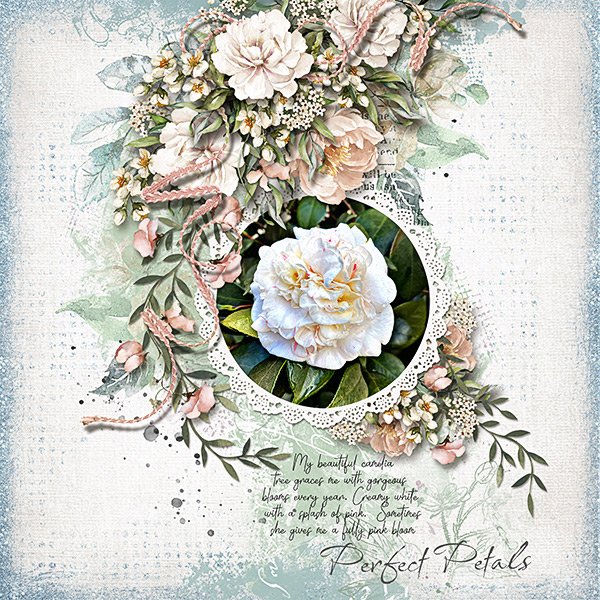 Perfect-Petals-webcopy.jpg