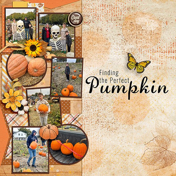 Picking-a-Pumpkin.jpg