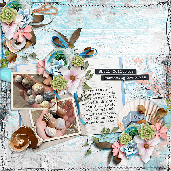 Shell Collector