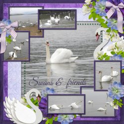 600-adbdesigns-swan-song-poki-01.jpg