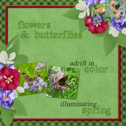 600-adbdesigns-cheerfully-optimistic-poki-01.jpg