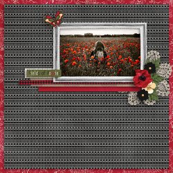Fields-of-Poppies-web.jpg