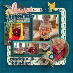 Feathered-Friends-600-web.jpg