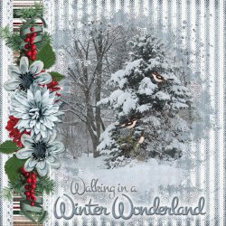 ps-adbdesignsWINTERSFREEZE-snin4Jan2020.jpg